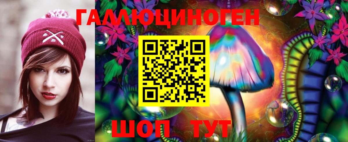 Галлюциногенные грибы Cubensis Кисловодск