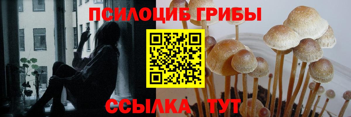 Галлюциногенные грибы мухоморы  как найти закладки  Псилоцибиновые грибы MAGIC MUSHROOMS  Кисловодск  Вход с VPN 